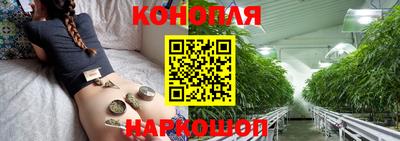винт Тара