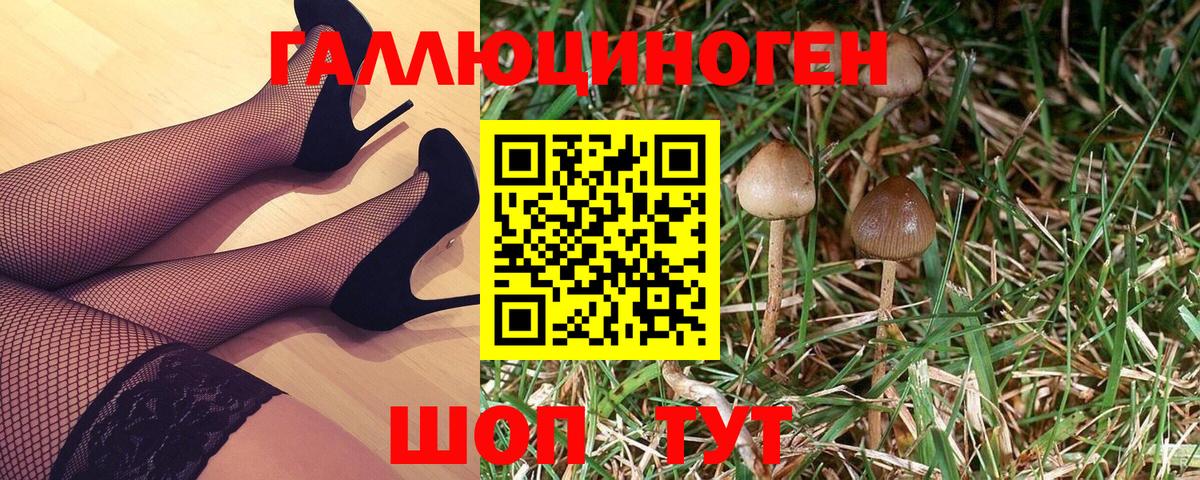 Галлюциногенные грибы прущие грибы Нижний Новгород