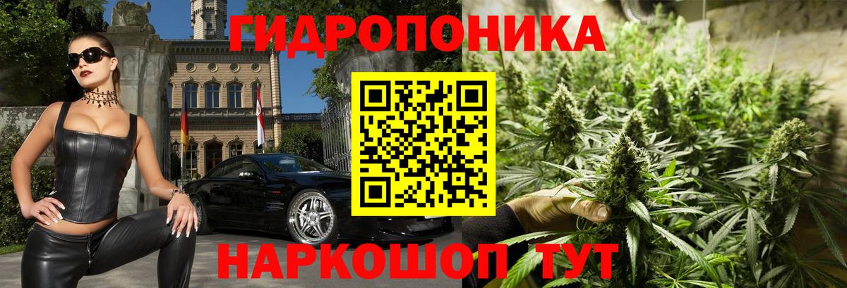 Шишки марихуана OG Kush Нижний Новгород